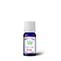 CBD Drops 10 ml Pain